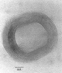 Hollow nanoparticle