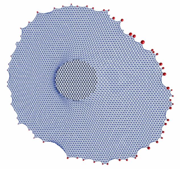 Stress propagation through a 2D cell