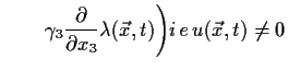 $\displaystyle ~~~~~~\gamma _3\frac{\partial }{\partial
x_3}\lambda (\vec x,t)\Bigg)i\,e\,u(\vec x, t) \neq 0$